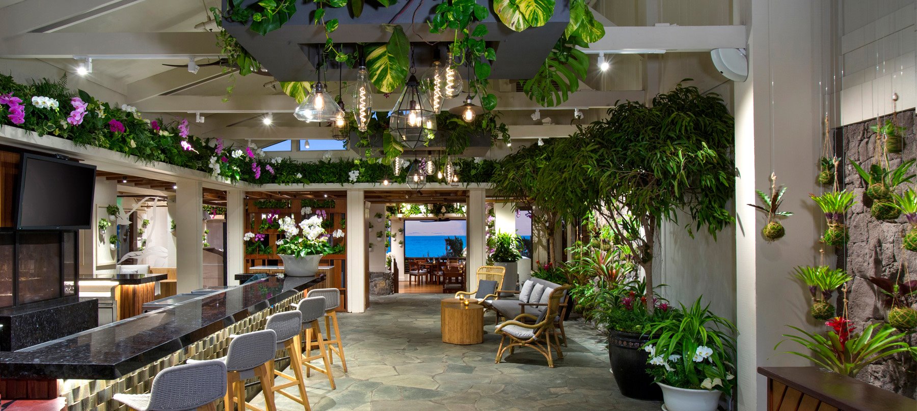 The Banyan Tree